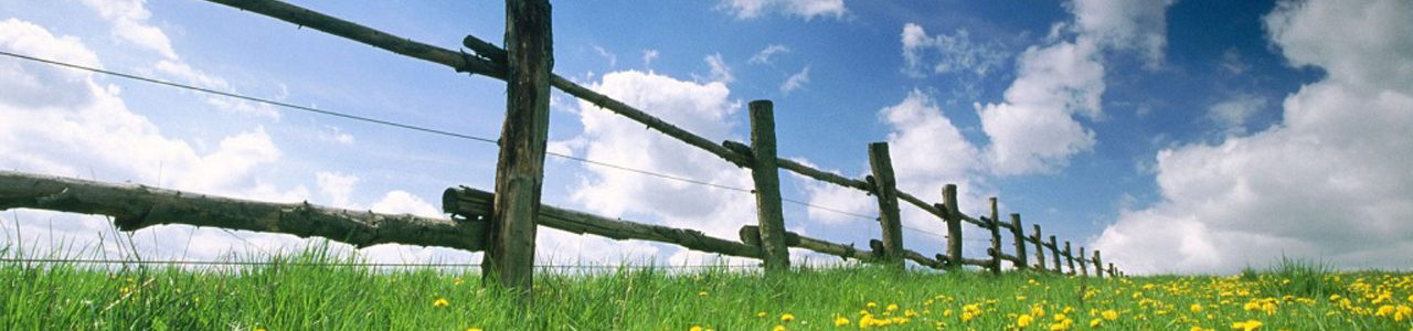 grass, fence, blue sky