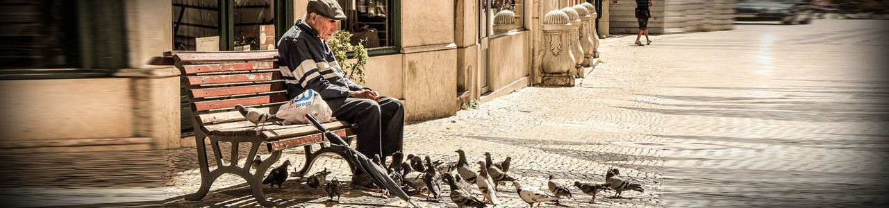 man-bench-pigeons