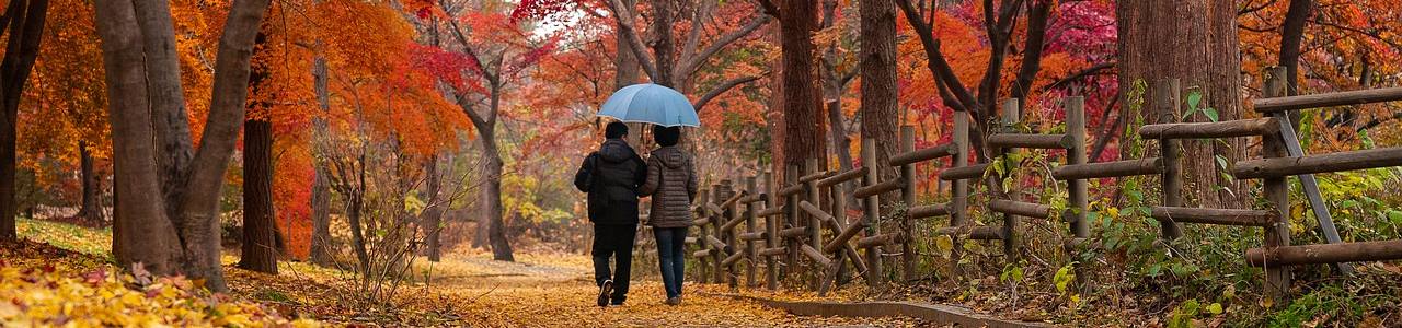 Couple Walking Autumn Pixabay
