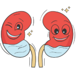happy kidneys