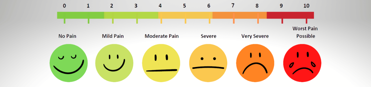 Pain Comfort Scale