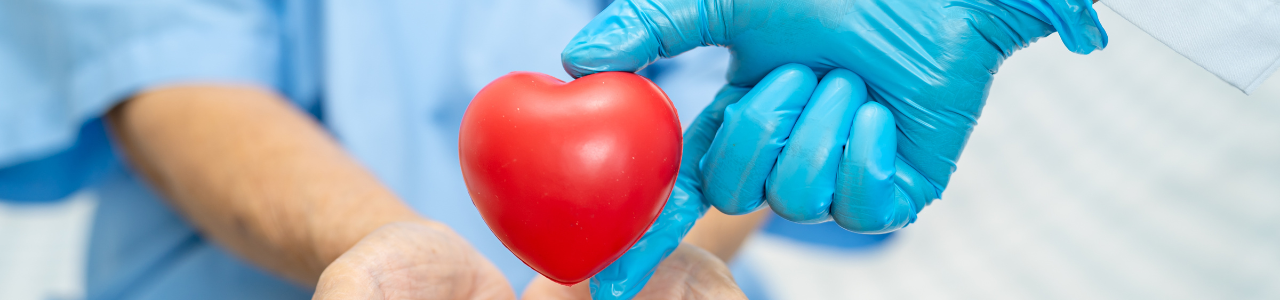 Heart in care providers hands